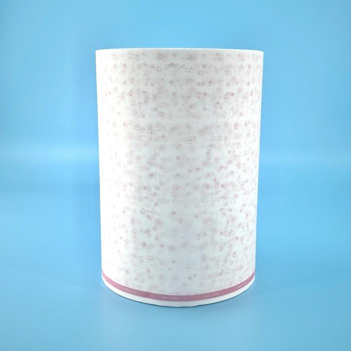 PE Backsheet Film